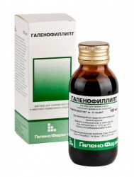 Галенофиллипт настойка 100 мл 1 шт.