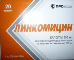 Линкомицин капс. 250 мг 20 шт.