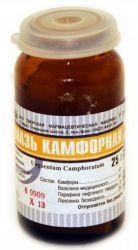Камфора мазь 10% 25 г 1 шт.